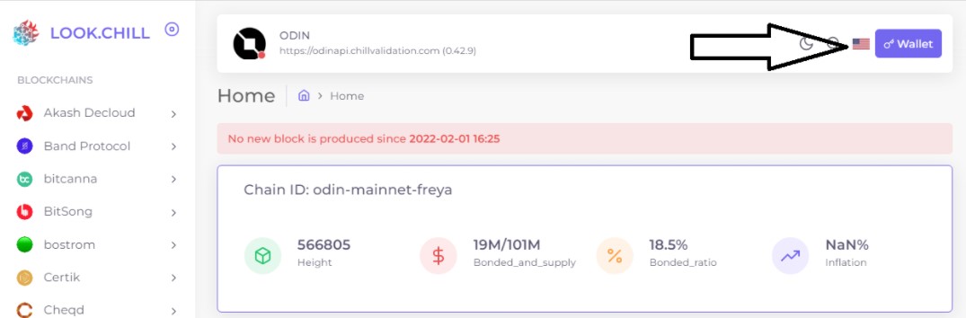 Connect ODIN wallet